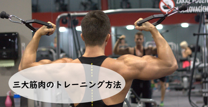 三大筋肉のトレーニング方法